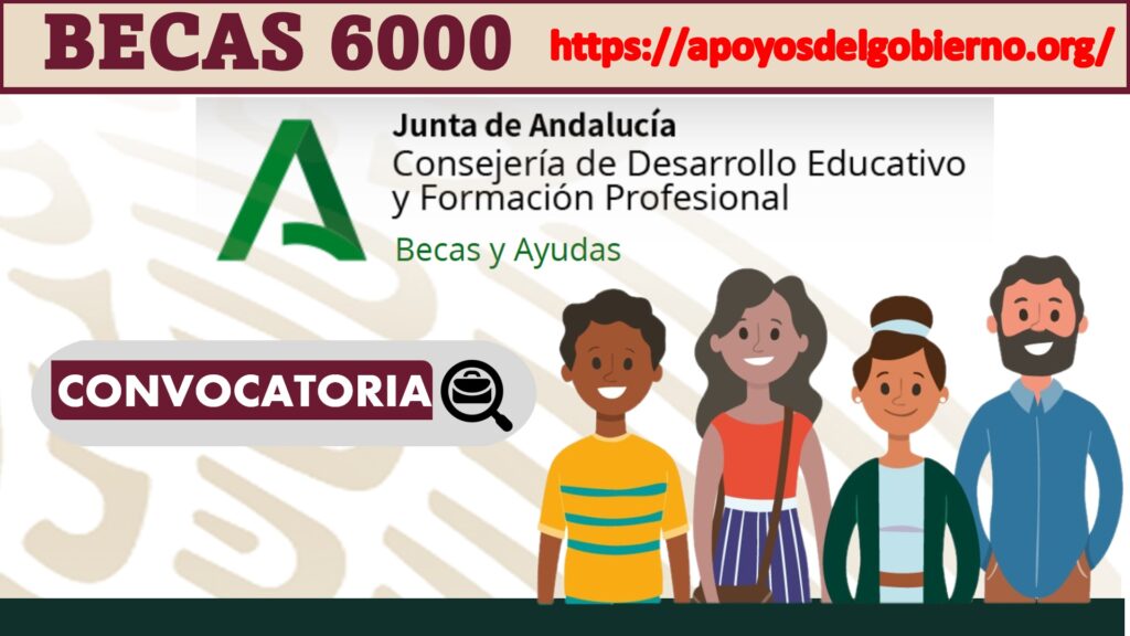 BECAS 6000