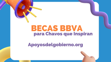 Becas BBVA