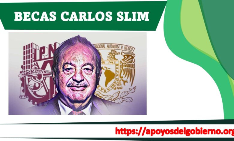 Becas Carlos Slim