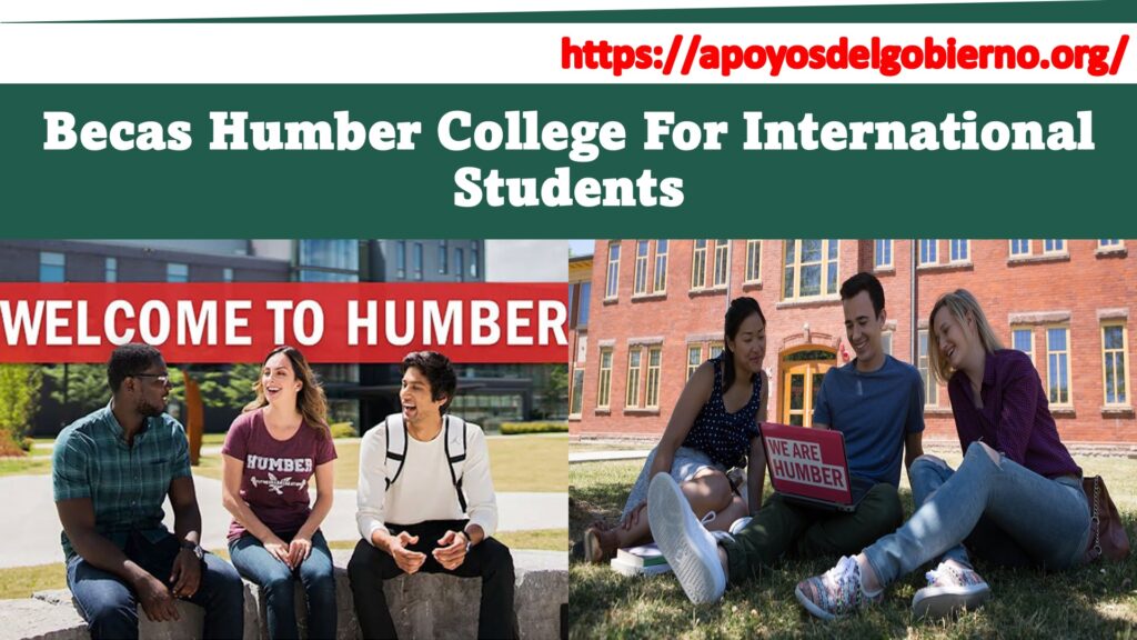 Becas Humber College For International Students