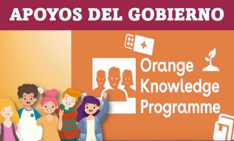 Becas Orange Knowledge Programme