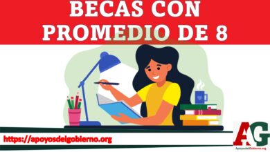 Becas con promedio de 8