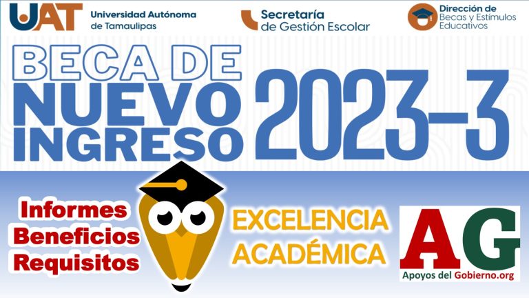 Apoyos Del Gobierno Para Iniciar Un Negocio 2023-2024 🥇【 Agosto 2023】