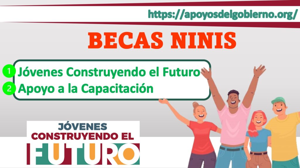 Becas ninis