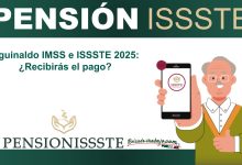 ▷ Aguinaldo IMSS e ISSSTE 2025: ¿Recibirás el pago? » 2025 ApoyosdelGobierno.org 🥇 Aguinaldo IMSS e ISSSTE 2025: ¿Recibirás el pago?