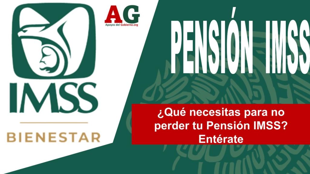 pension imss