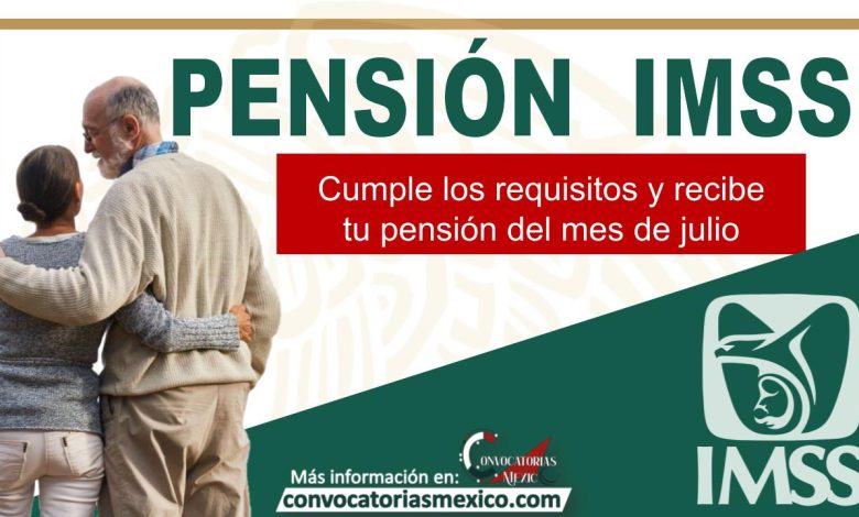 pension imss