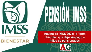 Pension IMSS