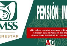 ¿No sabes cuántas semanas cotizadas solicitan para la Pensión Mínima Garantizada del IMSS? Te contamos