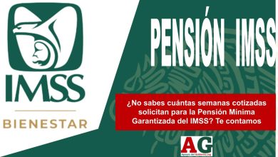 ¿No sabes cuántas semanas cotizadas solicitan para la Pensión Mínima Garantizada del IMSS? Te contamos