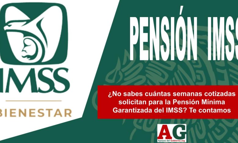 ¿No sabes cuántas semanas cotizadas solicitan para la Pensión Mínima Garantizada del IMSS? Te contamos