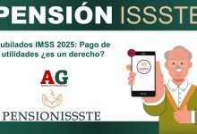 Jubilados IMSS 2025: Pago de utilidades ¿es un derecho?