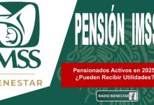 Pensionados Activos en 2025: ¿Pueden Recibir Utilidades?