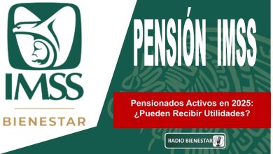 Pensionados Activos en 2025: ¿Pueden Recibir Utilidades?