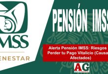 Alerta Pensión IMSS: Riesgos de Perder tu Pago Vitalicio (Causas y Afectados)