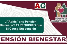 ¿"Adiós" a tu Pensión Bienestar? El REQUISITO que SÍ Causa Suspensión