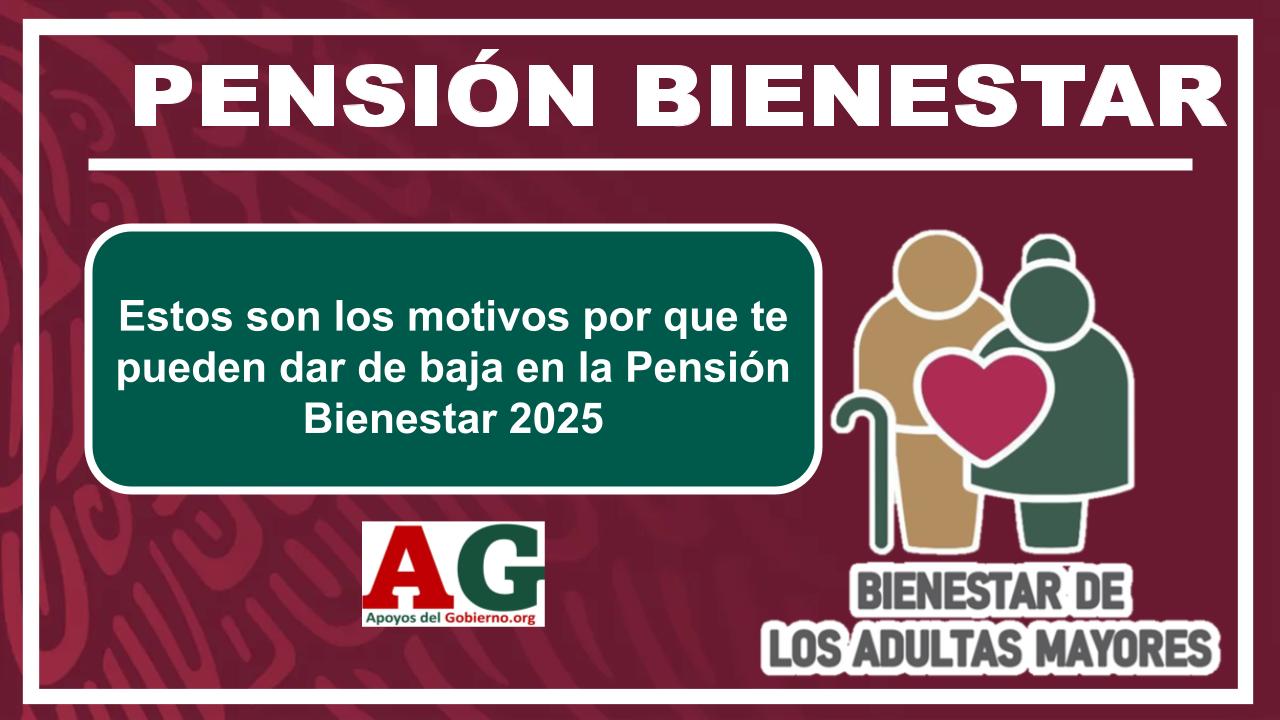 Estos Son Los Motivos Por Que Te Pueden Dar De Baja En La Pensión ...