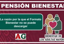 La razón por la que el Formato Bienestar no se puede descargar