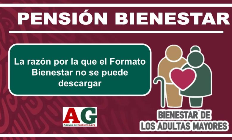 ▷ La razón por la que el Formato Bienestar no se puede descargar » 2025 ApoyosdelGobierno.org 🥇 La razón por la que el Formato Bienestar no se puede descargar