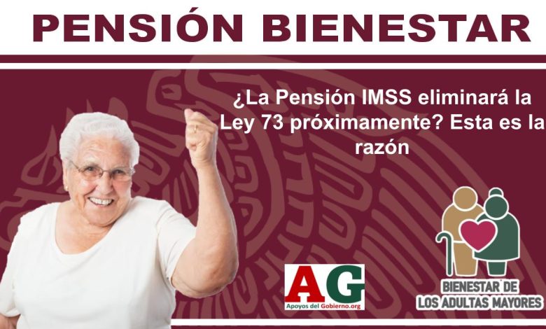 ¿La Pensión IMSS eliminará la Ley 73 próximamente? Esta es la razón