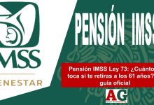Pensión IMSS Ley 73: ¿Cuánto te toca si te retiras a los 61 años? La guía oficial
