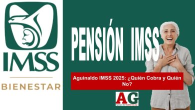 Aguinaldo IMSS 2025: ¿Quién Cobra y Quién No?