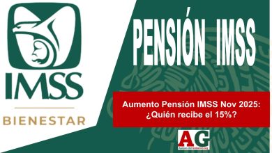 Aumento Pensión IMSS Nov 2025: ¿Quién recibe el 15%?