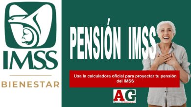 Usa la calculadora oficial para proyectar tu pensión del IMSS