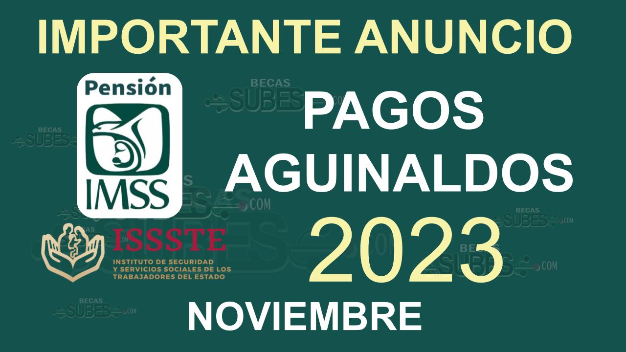 Aguinaldo Para Adultos Mayores ¿Cuándo Y Cómo Se Paga? 🥇【 Septiembre 2024】