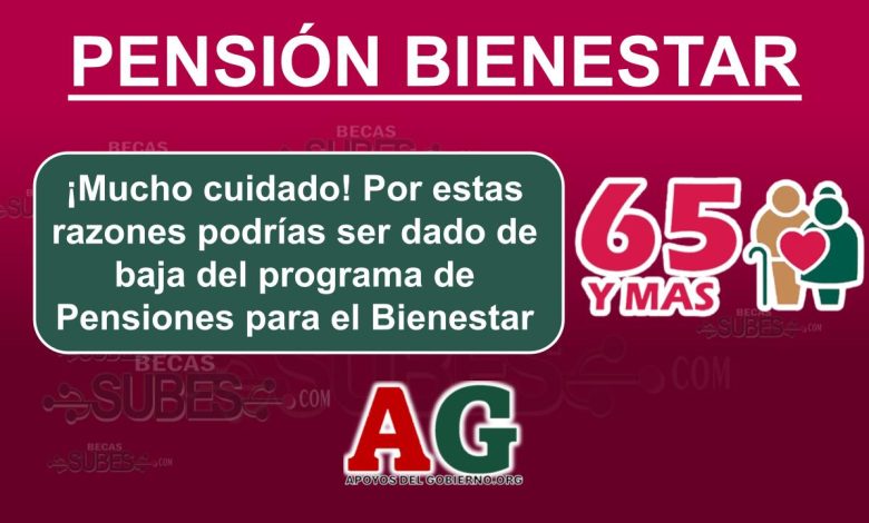 Pensiones Bienestar 1