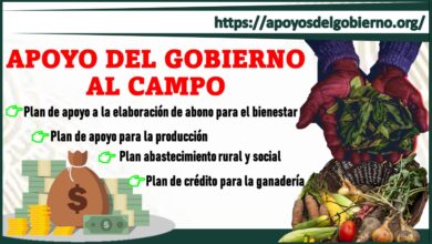 Apoyo del Gobierno al Campo