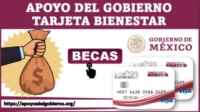 Apoyo del gobierno Tarjeta bienestar