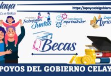 Apoyos del Gobierno Celaya