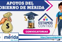 Apoyos del gobierno de Mérida
