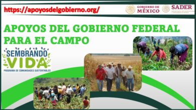 Apoyos del Gobierno Federal para el Campo