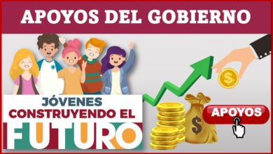 Apoyos del Gobierno Jóvenes Construyendo el Futuro