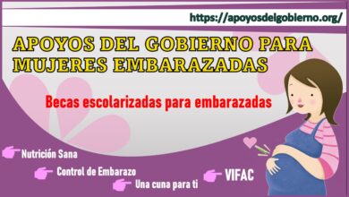 Apoyos del gobierno para mujeres embarazadas