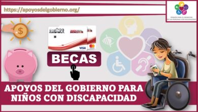 Apoyos del gobierno para niños con discapacidad