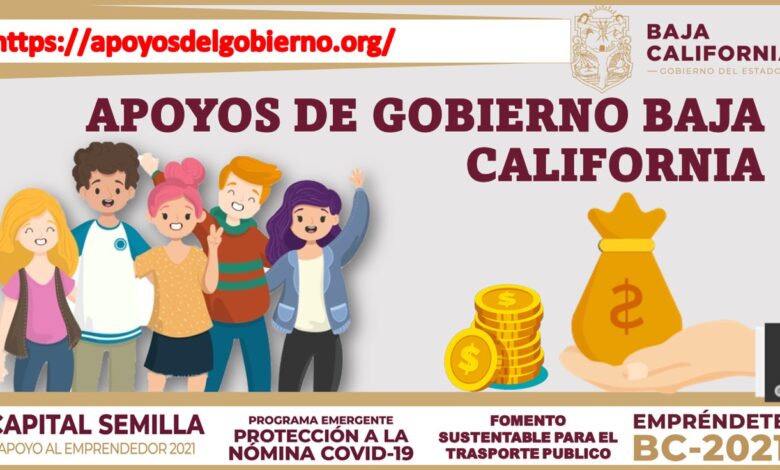 Apoyos de Gobierno Baja California