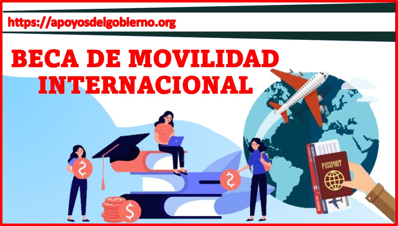 Beca De Movilidad Internacional 2023 2024 🥇【 Julio 2024】