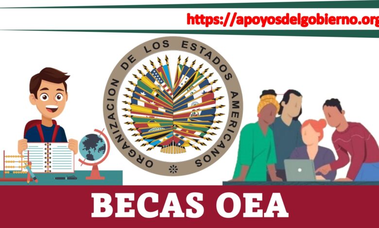 becas OEA