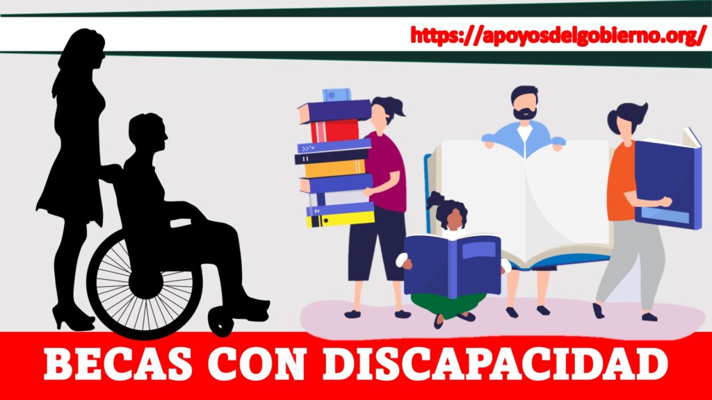 becas con discapacidad