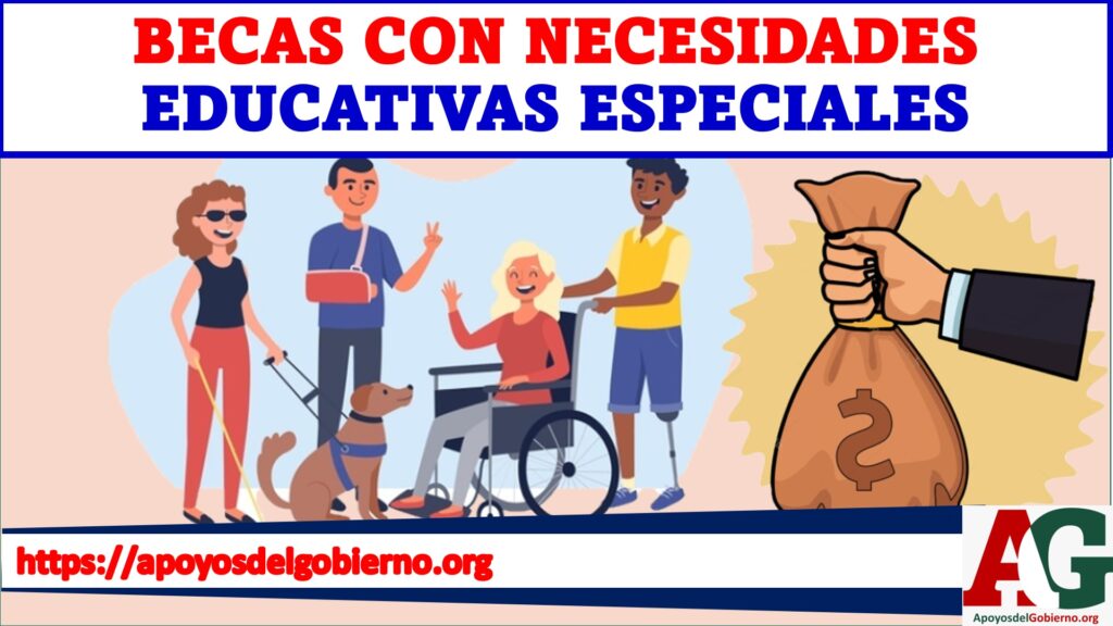 becas con necesidades educativas especiales