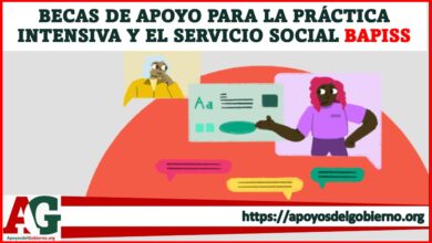 Becas de Apoyo para la Práctica Intensiva y el Servicio Social BAPISS 2021-2022