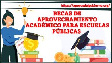 Becas de Aprovechamiento Académico para Escuelas Públicas 2021-2022