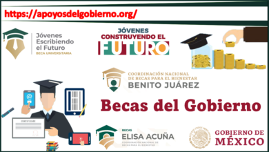 becas-del-gobierno