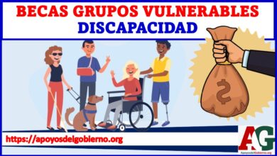 Becas grupos vulnerables discapacidad 2021-2022