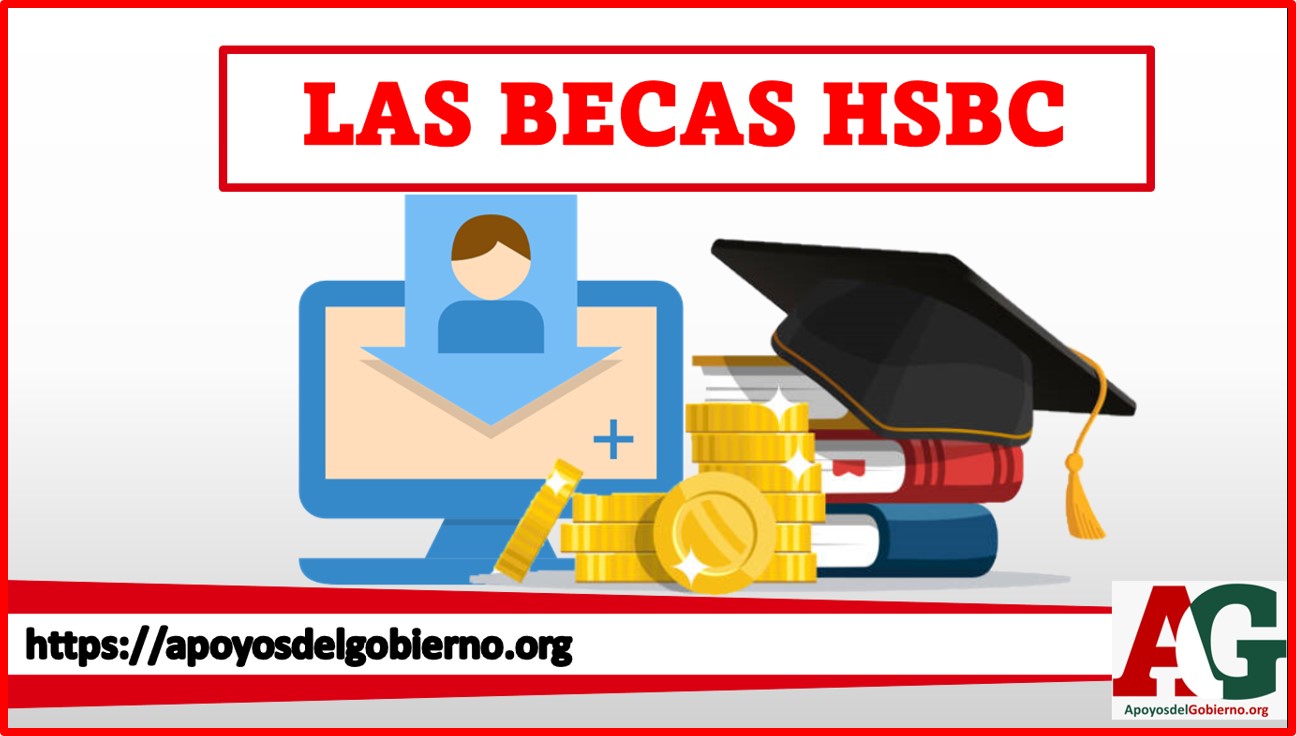 Las Becas HSBC 20232024 🥇【 Febrero 2024】
