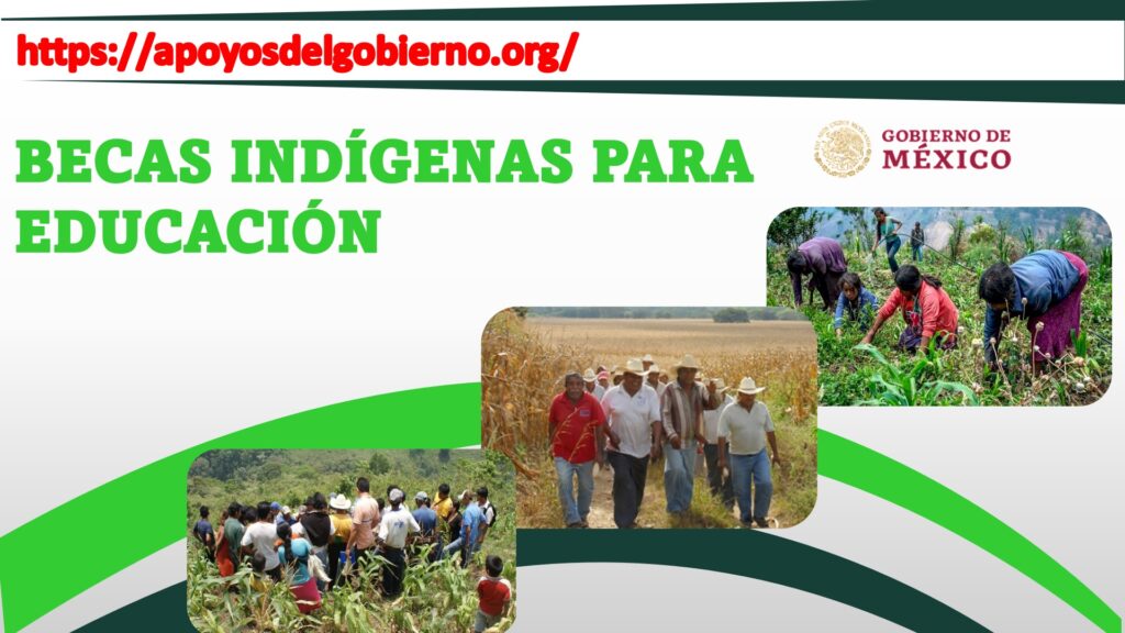 becas indigenas