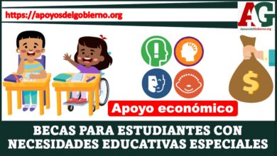 Becas para estudiantes con Necesidades Educativas Especiales 2021-2022